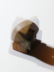 Reproduction [Using off-cuts of sandalwood from the restoration of the Chi Lin Nunnery]